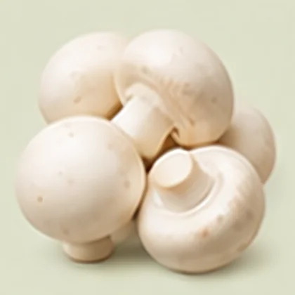 Harvested button mushroom
