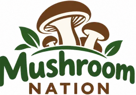 Mushroom Nation