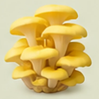 Harvested yellow oyster